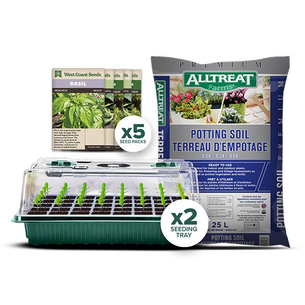 Herb Starter Growing Kit